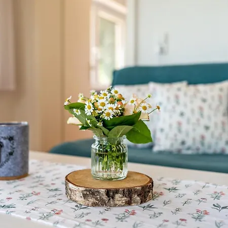 Merzel's Schoene Aussicht Apartamento Bühlertal