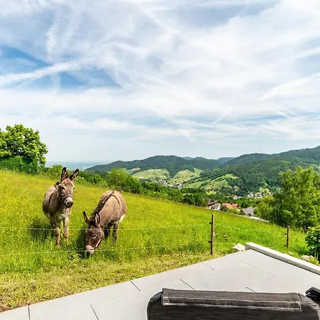 Apartamento Merzel's Schoene Aussicht *