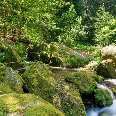 Merzel's Schoene Aussicht Buhlertal